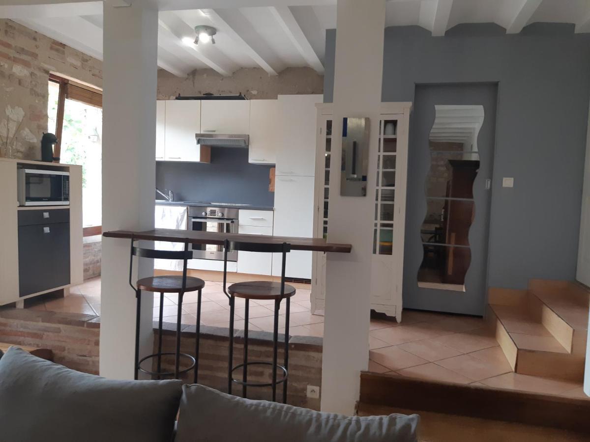 Charmant Appartement Vue Sur La Riviere. Albi Zewnętrze zdjęcie