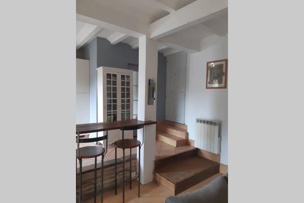 Charmant Appartement Vue Sur La Riviere. Albi Zewnętrze zdjęcie