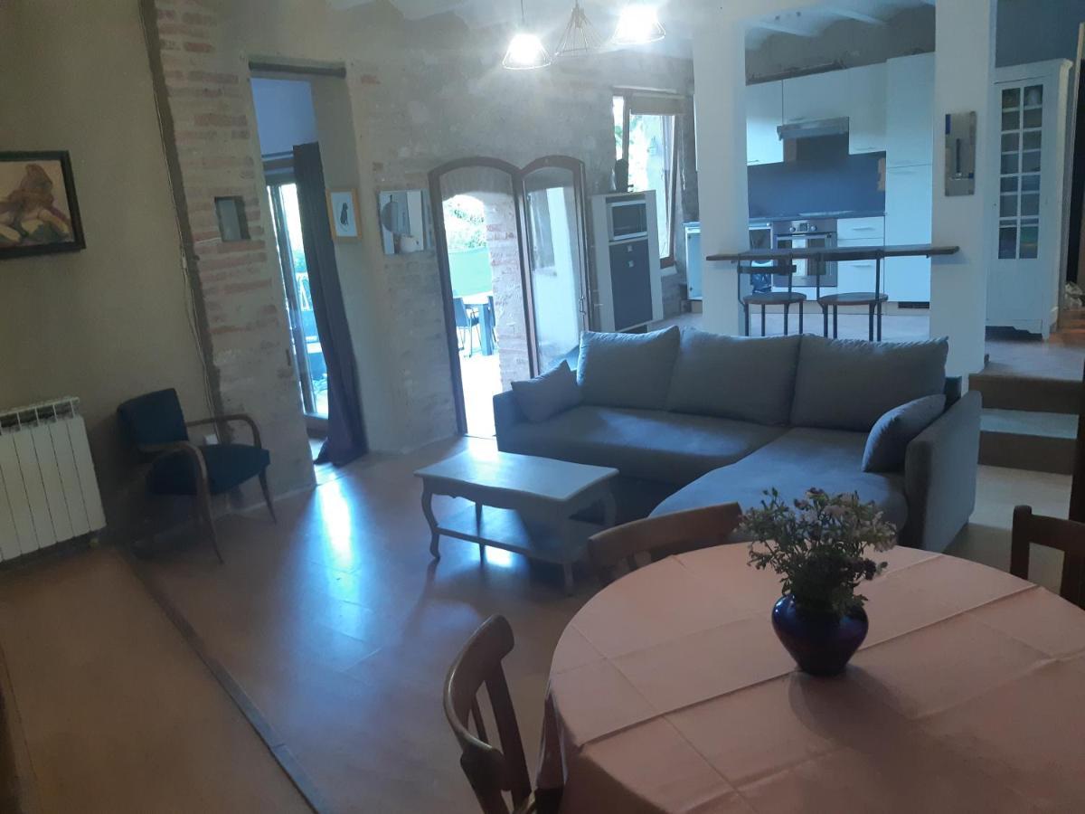 Charmant Appartement Vue Sur La Riviere. Albi Zewnętrze zdjęcie